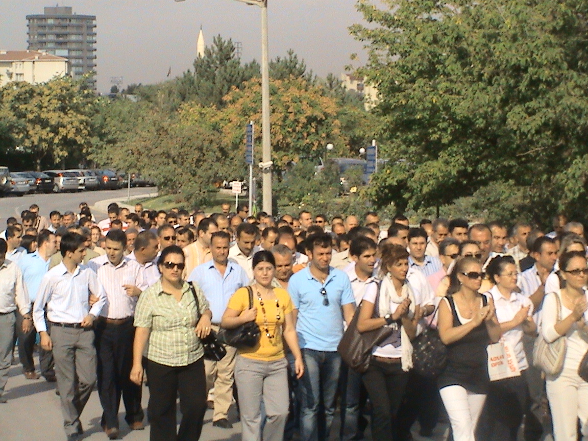 Viziteye çıkma eylemi