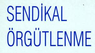 Sendikal Örgütlenme