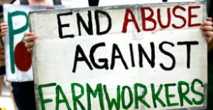 Tacize Uğrayan Tarım İşçisine 150 Bin Dolar Tazminat