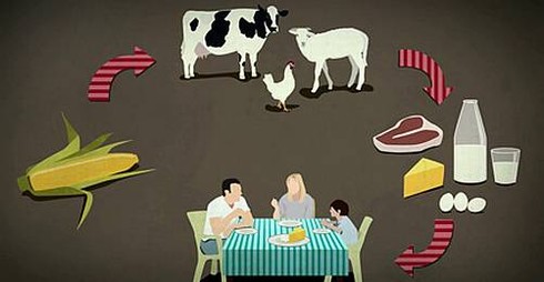 GREENPEACE'İN KAMPANYASI