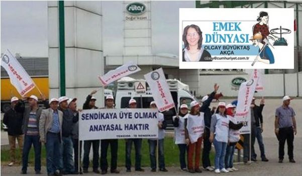 Sütaş İşçileri Mücadeleyi İstanbul’a taşıyor