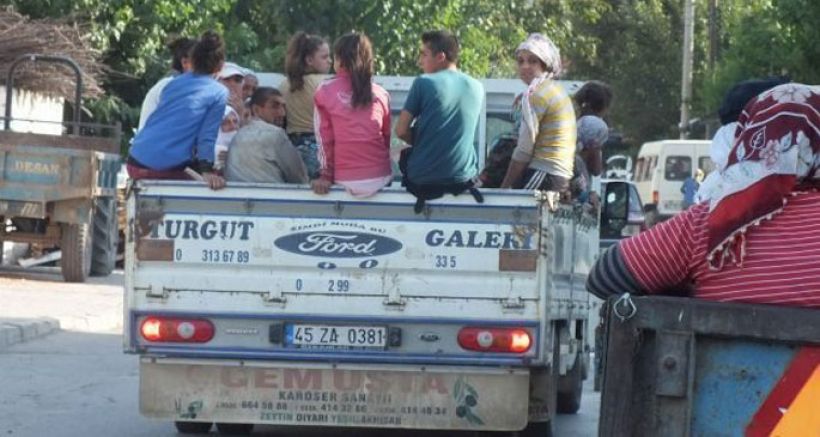 Tarım işçileri sigorta istiyor