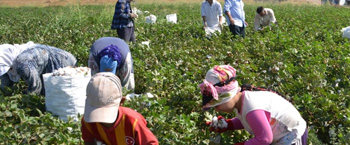 Son iki buçuk yılda iş cinayetlerinde en az 122 çocuk işçi yaşamını yitirdi