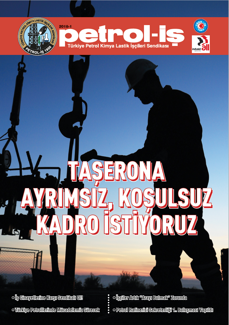 Süreli Yayın 11656