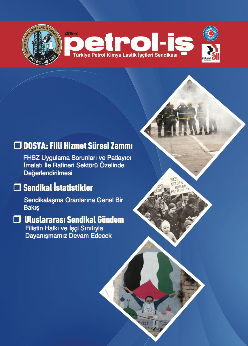 Süreli Yayın 11778