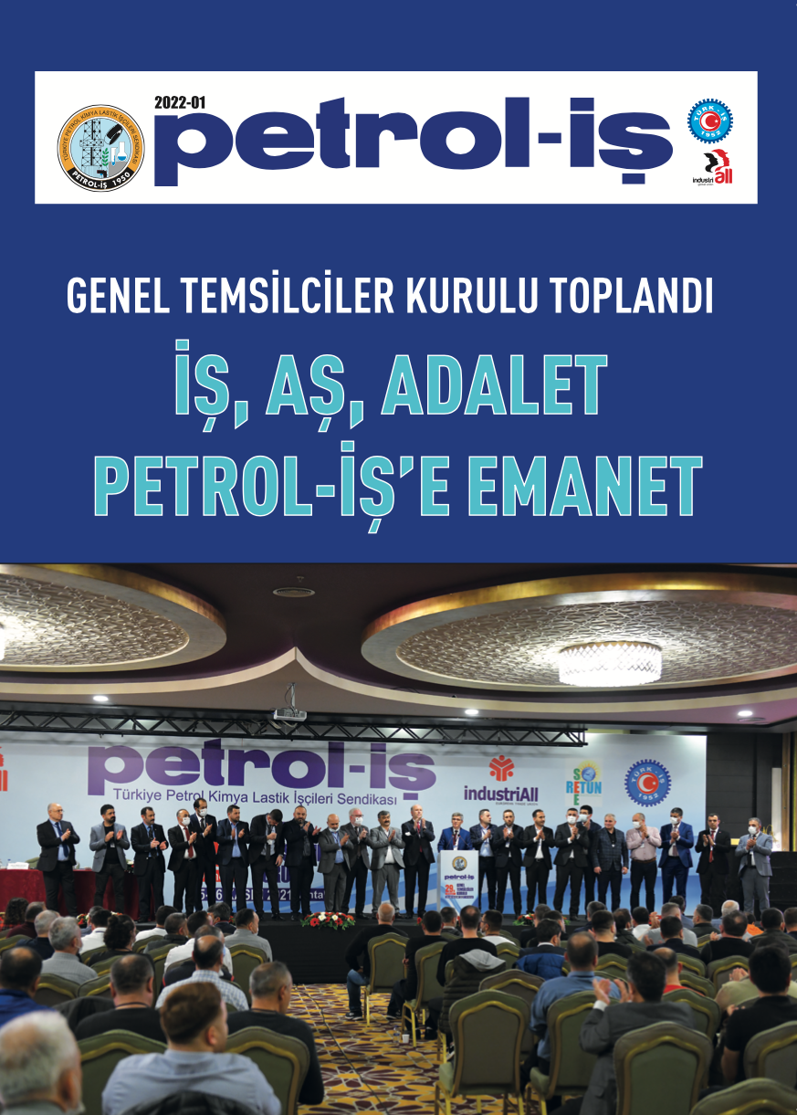 Süreli Yayın 13737