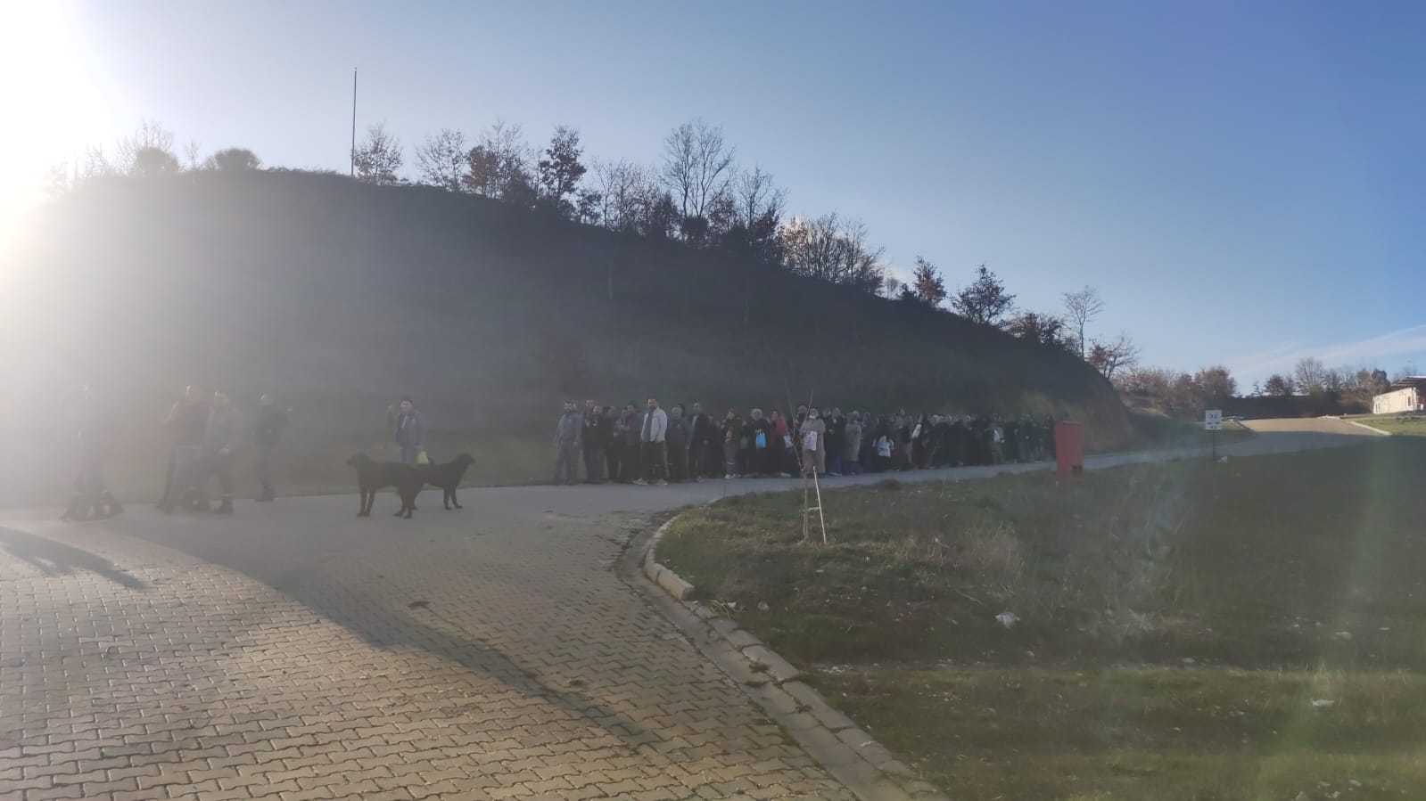 Bandırma Şubemizden Basın Açıklaması; Troy Sendikalı Olacak, İşçi Hakkını Alacak!